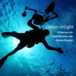 Ocean InSight by MeerWissen