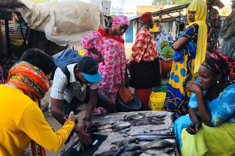Fishmarket Senegal