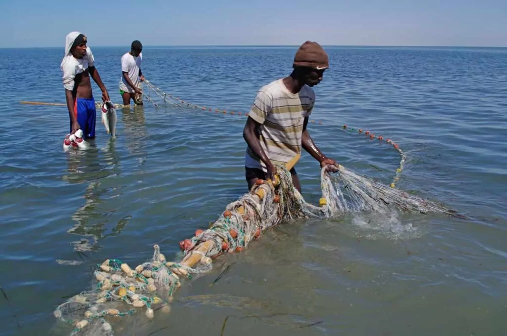 Sustainable Fisheries in Mauretania