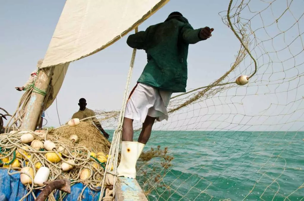 Sustainable Fisheries Mauretania