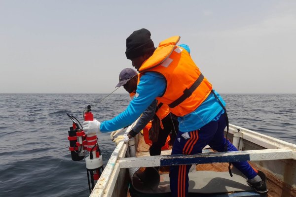 Probenahme Senegal